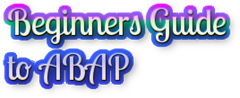 Beginners Guide to ABAP