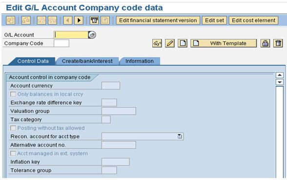 General Ledger Account Company Code Data