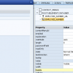 Web dynpro ABAP 14