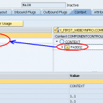 Web dynpro ABAP 9