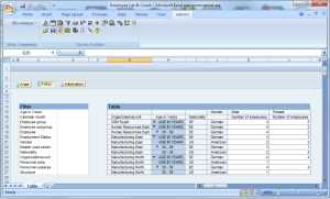 BEx Analyzer Report