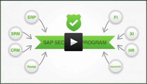 SAP Security 75% Discount Link