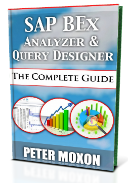 SAP BEx Analyzer Book