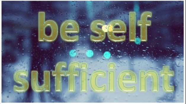 http://www.saptraininghq.com/wp-content/uploads/2013/11/SelfSufficientSAPDeveloper_thumb-628x353.jpg